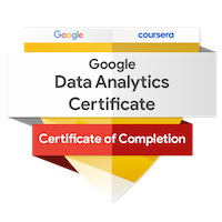 Consulente certificato Google Analytics